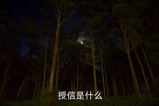  授信是什么