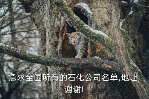 急求全國(guó)所有的石化公司名單,地址,謝謝!
