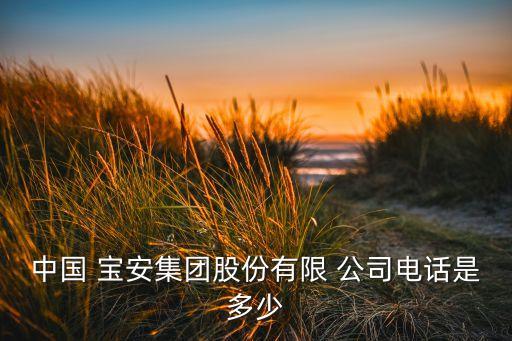 中國寶安是什么公司,辛保安是什么級(jí)別