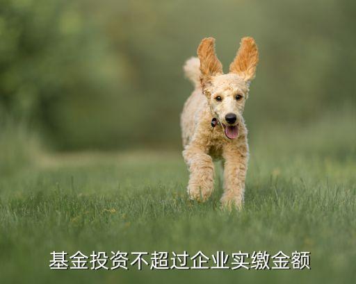  基金投資不超過企業(yè)實繳金額