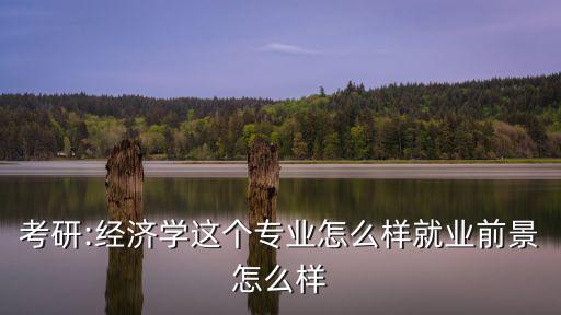 考研:經(jīng)濟(jì)學(xué)這個(gè)專業(yè)怎么樣就業(yè)前景怎么樣