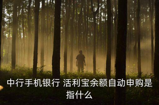 中行手機銀行 活利寶余額自動申購是指什么