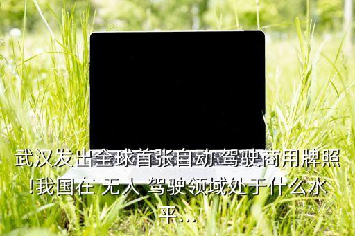 武漢發(fā)出全球首張自動 駕駛商用牌照!我國在 無人 駕駛領域處于什么水平...