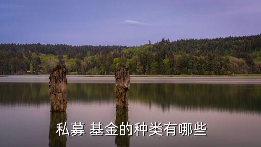 私募股權(quán)投資基金名單,不動(dòng)產(chǎn)私募股權(quán)投資基金