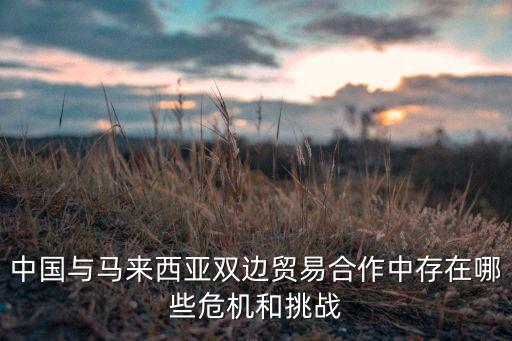 中國與馬來西亞雙邊貿(mào)易合作中存在哪些危機(jī)和挑戰(zhàn)