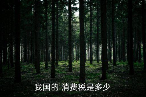 中國(guó)消費(fèi)稅高不高,酒業(yè)消費(fèi)稅高不高