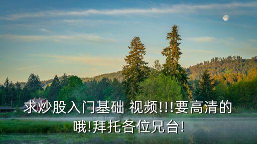 求炒股入門基礎(chǔ) 視頻!!!要高清的哦!拜托各位兄臺(tái)!