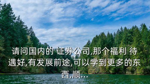 請(qǐng)問(wèn)國(guó)內(nèi)的 證券公司,那個(gè)福利 待遇好,有發(fā)展前途,可以學(xué)到更多的東西,順...