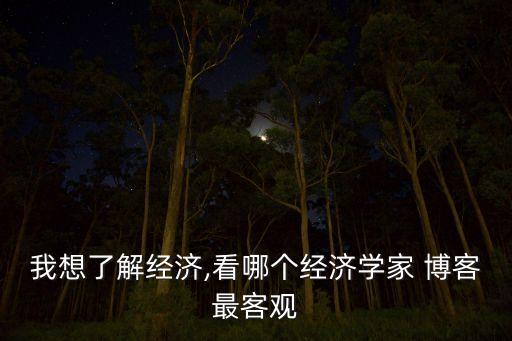 我想了解經濟,看哪個經濟學家 博客最客觀