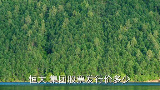 百大集團財務戰(zhàn)略