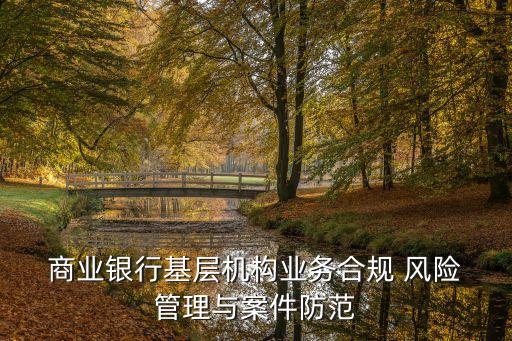  商業(yè)銀行基層機(jī)構(gòu)業(yè)務(wù)合規(guī) 風(fēng)險 管理與案件防范