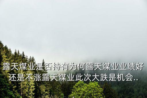 露天煤業(yè)是否持有為何露天煤業(yè)業(yè)績好還是不漲露天煤業(yè)此次大跌是機會...