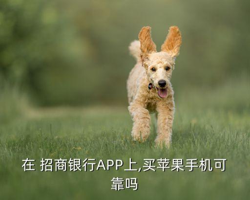 招商銀行iphone