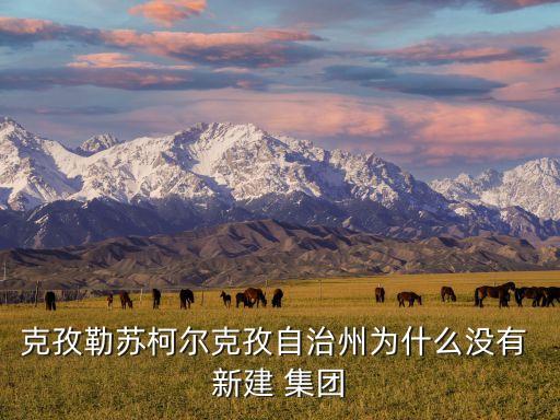 克孜勒蘇柯?tīng)柨俗巫灾沃轂槭裁礇](méi)有 新建 集團(tuán)