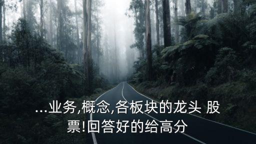 ...業(yè)務(wù),概念,各板塊的龍頭 股票!回答好的給高分