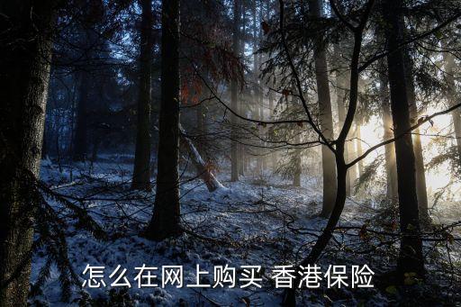 怎么在網(wǎng)上購買 香港保險(xiǎn)