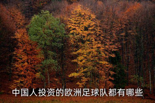 中國(guó)人投資的歐洲足球隊(duì)都有哪些
