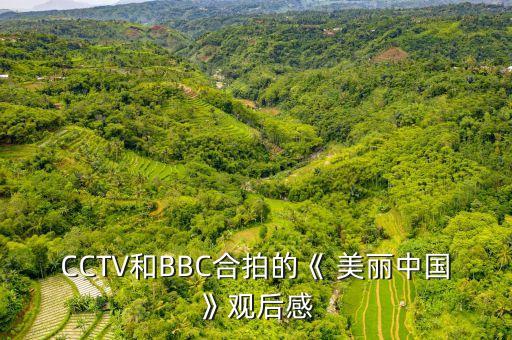 CCTV和BBC合拍的《 美麗中國》觀后感