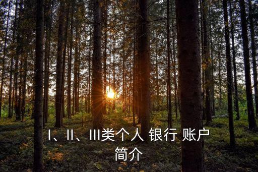 I、II、III類個人 銀行 賬戶簡介