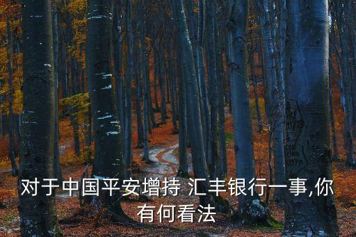 匯豐銀行2010年財(cái)務(wù)報(bào)表