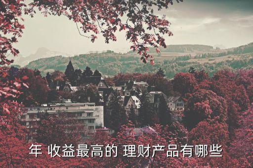 年 收益最高的 理財產(chǎn)品有哪些