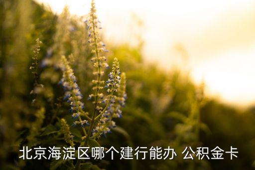  北京海淀區(qū)哪個(gè)建行能辦 公積金卡