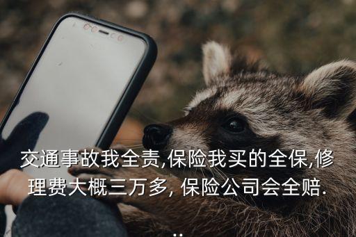 保險(xiǎn)公司會賠整車的價(jià)格嗎
