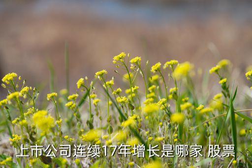 上市公司連續(xù)17年增長(zhǎng)是哪家 股票