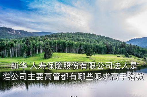  新華 人壽保險股份有限公司法人是誰公司主要高管都有哪些呢求高手指教...