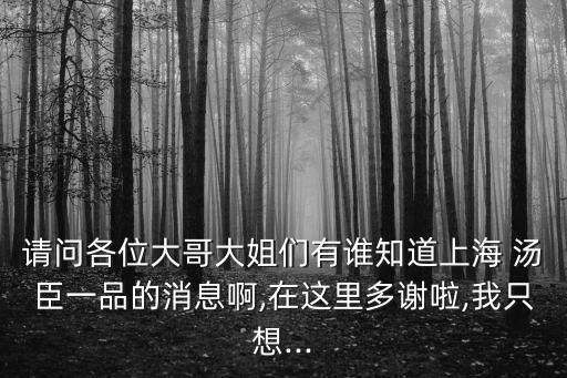 請(qǐng)問各位大哥大姐們有誰知道上海 湯臣一品的消息啊,在這里多謝啦,我只想...
