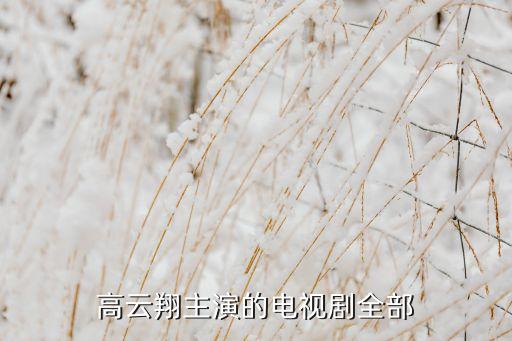 高云翔主演的電視劇全部