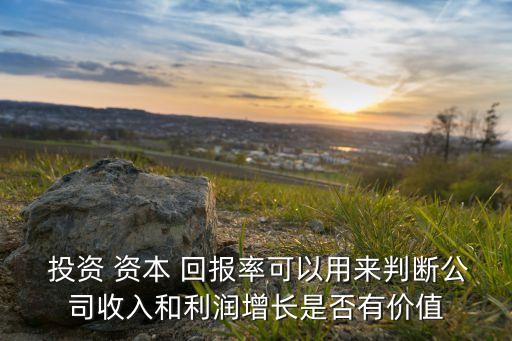  投資 資本 回報(bào)率可以用來判斷公司收入和利潤(rùn)增長(zhǎng)是否有價(jià)值