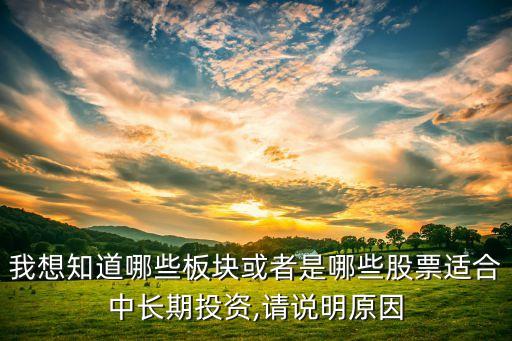 東軟集團(tuán)年報