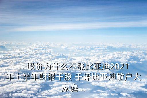 ...股價(jià)為什么不漲比亞迪2021年上半年財(cái)報(bào)千股 千評(píng)比亞迪散戶大家庭...