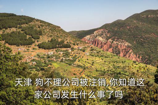 天津狗不理集團辦公電話,杭州狗不理包子店是天津狗不理集團