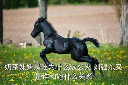 2011cctv中國經濟年度人物劉強東