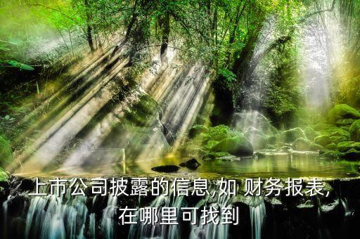 上市公司披露的信息,如 財(cái)務(wù)報(bào)表,在哪里可找到