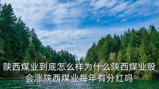 陜煤集團(tuán)高峰照片,陜煤建設(shè)集團(tuán)領(lǐng)導(dǎo)簡(jiǎn)介及照片