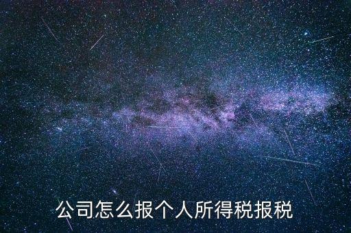 公司怎么報(bào)個(gè)人所得稅報(bào)稅