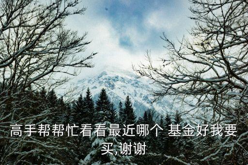 高手幫幫忙看看最近哪個 基金好我要買,謝謝