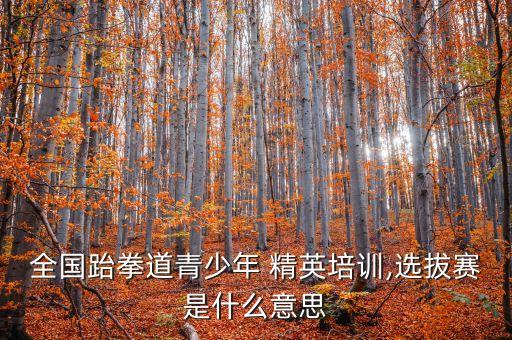 中國青年精英協(xié)會,青年精英協(xié)會常務理事毛杰明