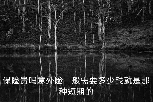 保險(xiǎn)貴嗎意外險(xiǎn)一般需要多少錢就是那種短期的