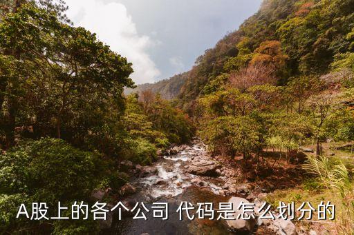 迪士尼股票代碼是多少,上海迪士尼樂(lè)園股票代碼