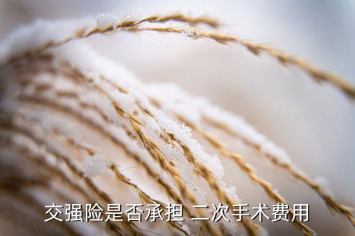 交強(qiáng)險(xiǎn)是否承擔(dān) 二次手術(shù)費(fèi)用