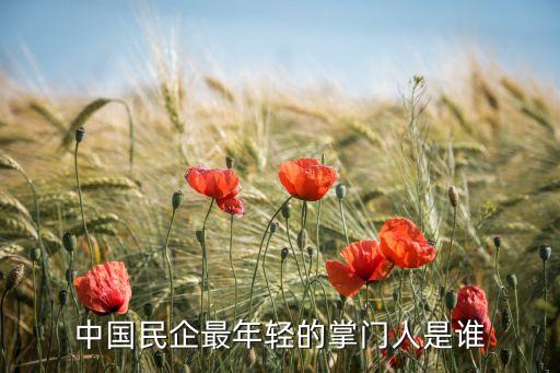 中國民企最年輕的掌門人是誰