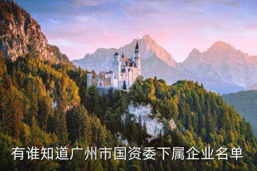 有誰(shuí)知道廣州市國(guó)資委下屬企業(yè)名單