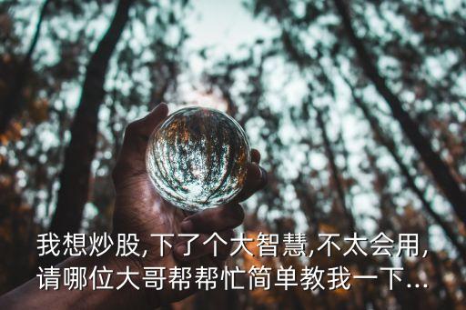 我想炒股,下了個大智慧,不太會用,請哪位大哥幫幫忙簡單教我一下...