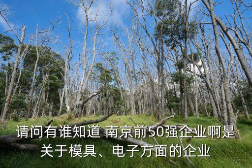 請(qǐng)問(wèn)有誰(shuí)知道 南京前50強(qiáng)企業(yè)啊是關(guān)于模具、電子方面的企業(yè)