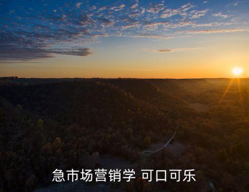 急市場(chǎng)營(yíng)銷學(xué) 可口可樂(lè)