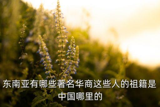 東南亞有哪些著名華商這些人的祖籍是中國(guó)哪里的
